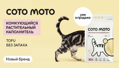 Cotomoto — создан для владельцев, которые ценят чистоту и комфорт питомца