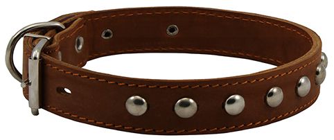 Ошейник Каскад кожа с украшением двойной для собак 2,1*31 см