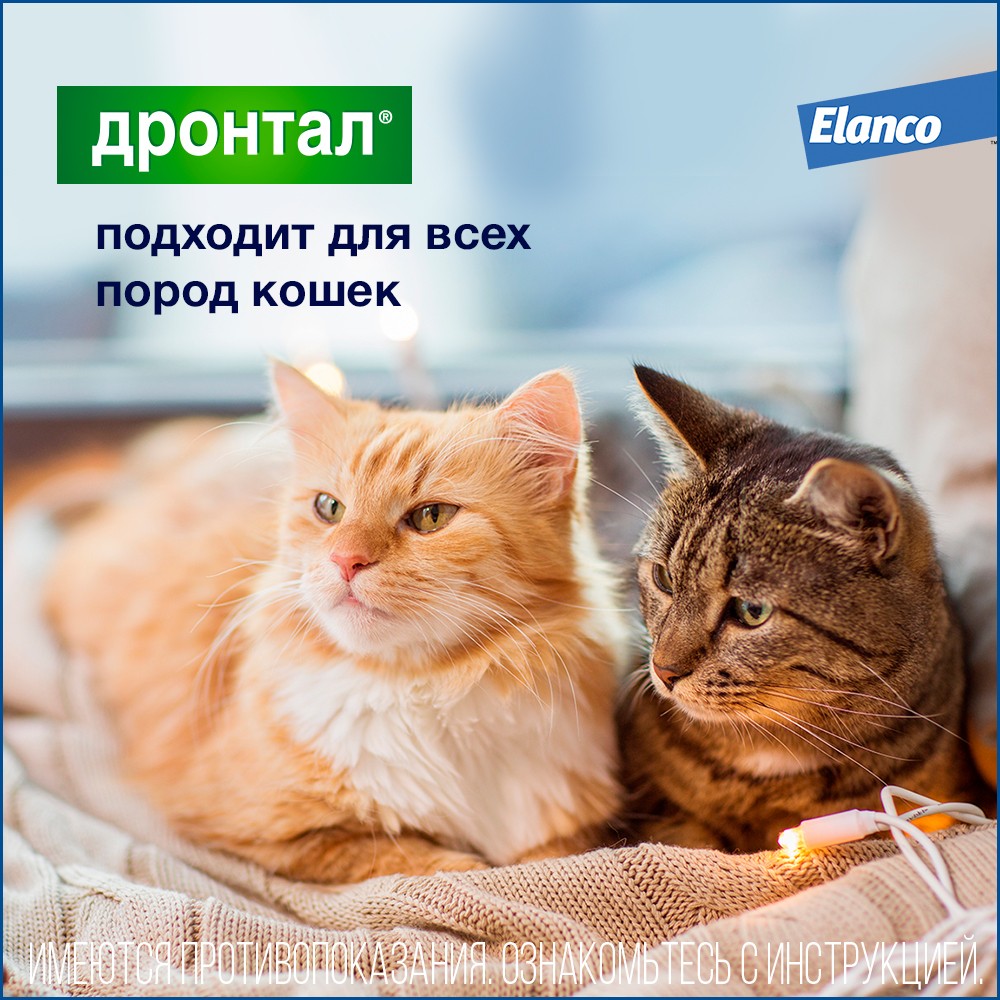 Дронтал табл антигельминтик для кошек 2 таблетки 4