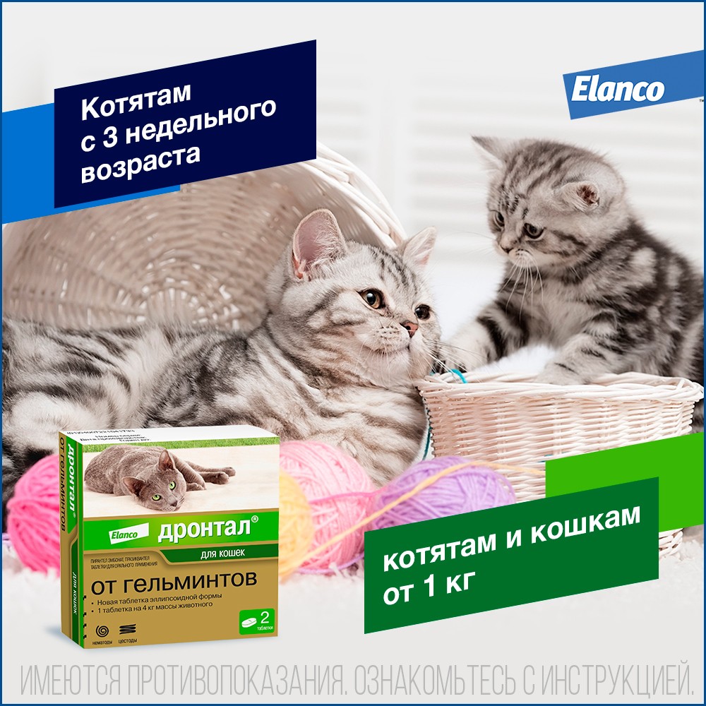 Дронтал табл антигельминтик для кошек 2 таблетки 5
