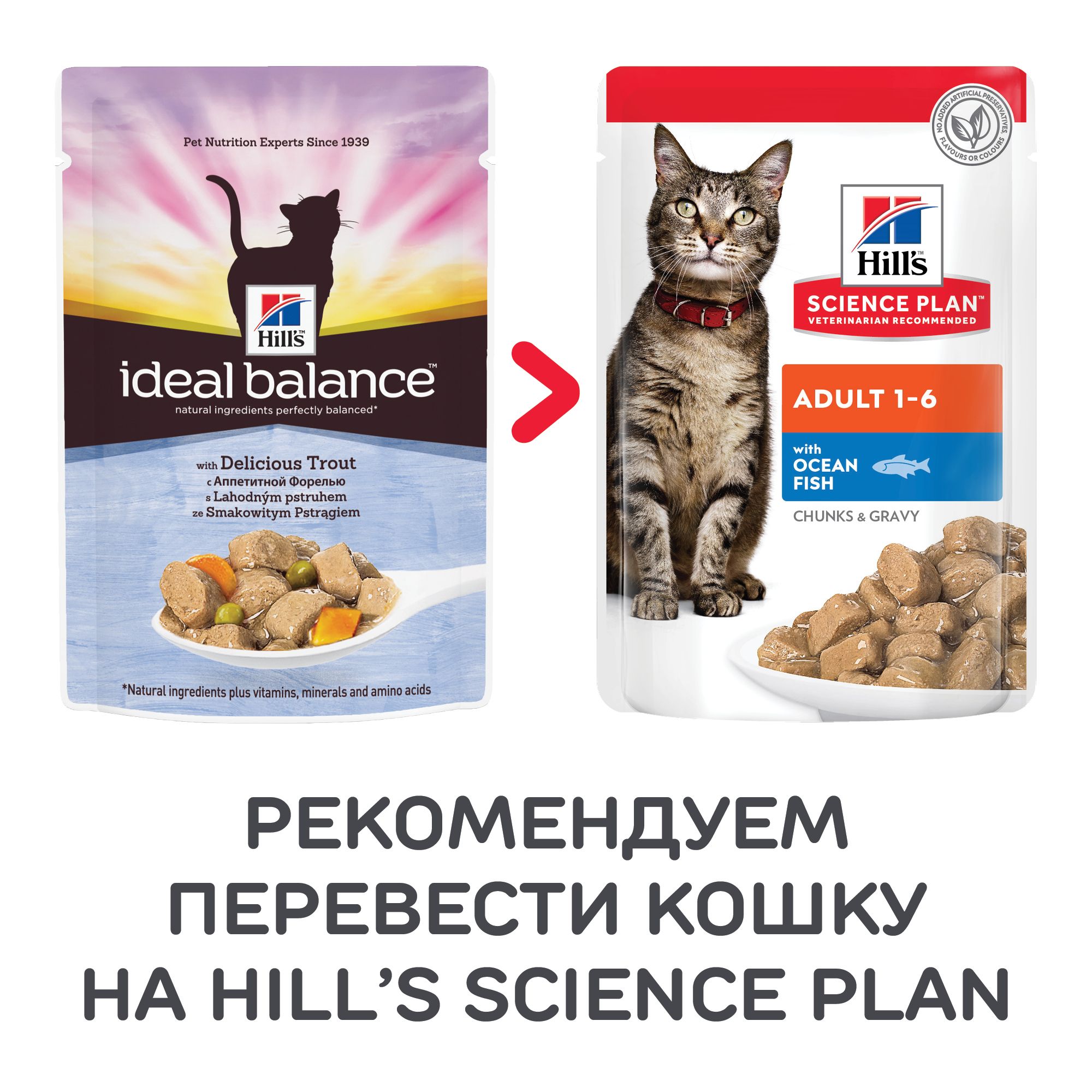 Hill's Ideal Balance Аппетитная форель пауч для кошек 85 г 2