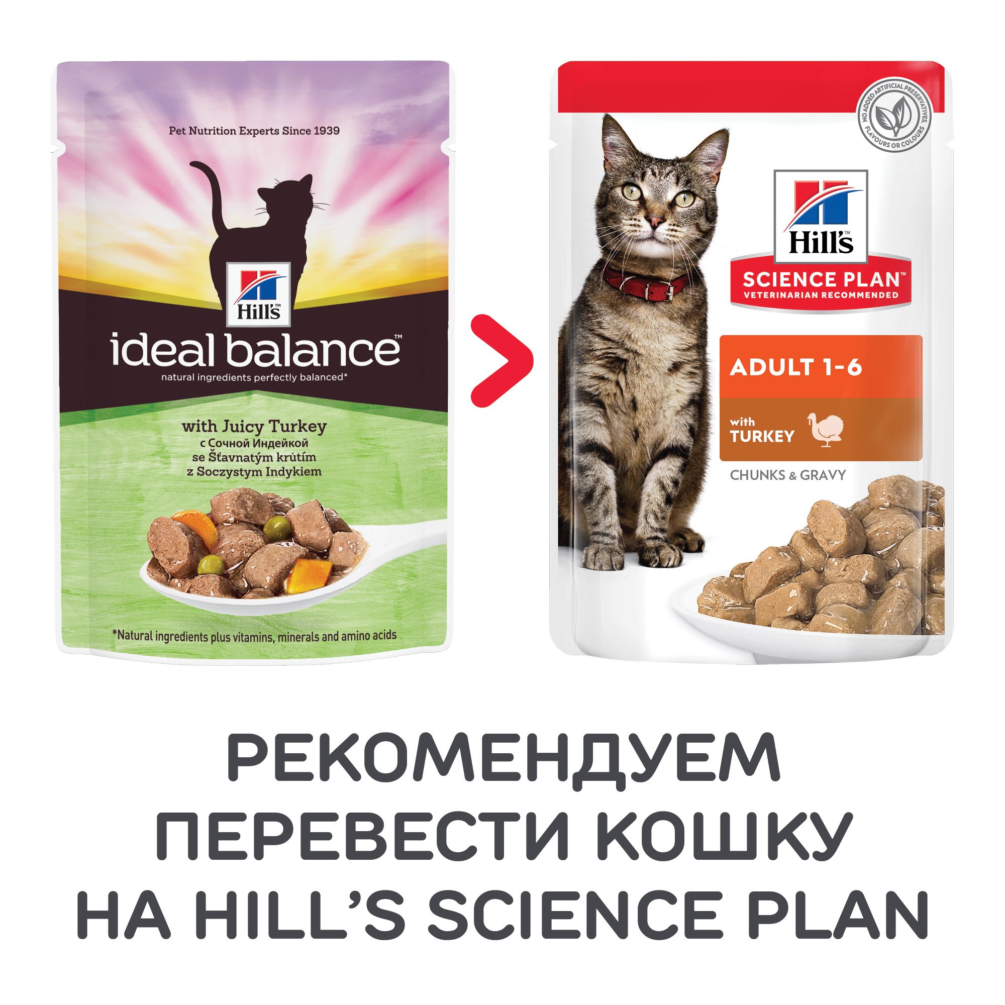 Hill's Ideal Balance Сочная индейка пауч для кошек 85 г 2