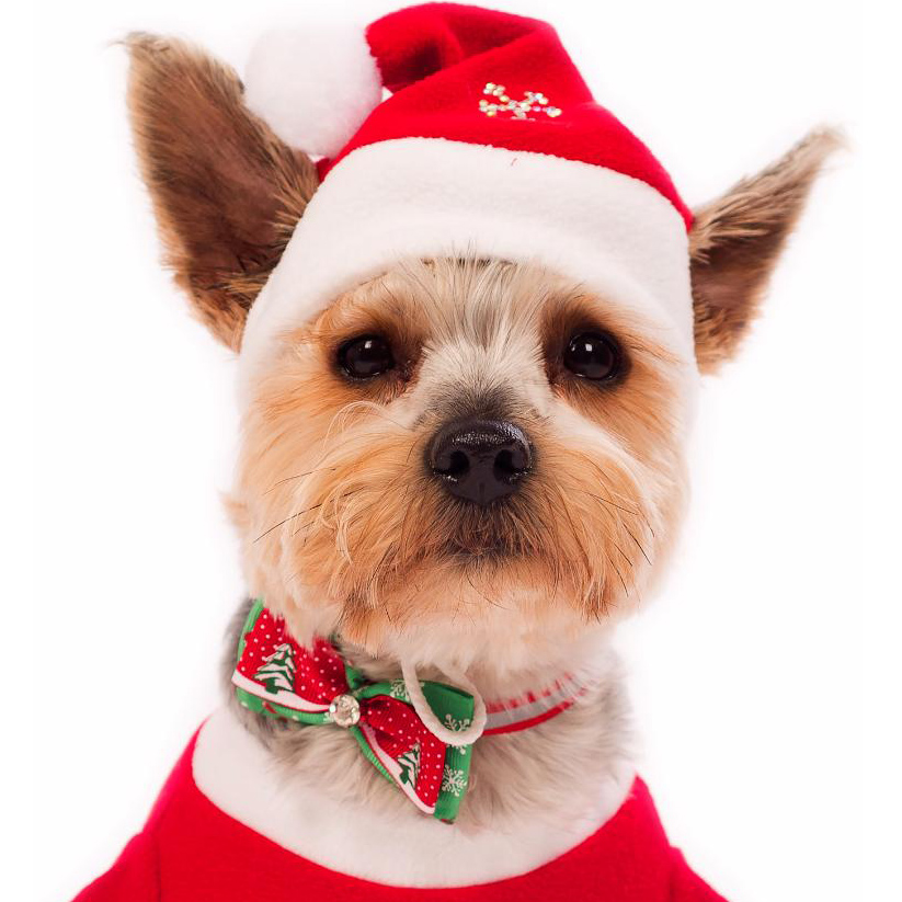 Колпак Yoriki Дед Мороз красный для собак 2