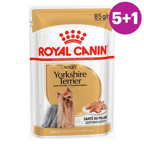 Royal Canin Yorkshire Terrier Adult паштет пауч для собак 85 г Комплект 5+1 1