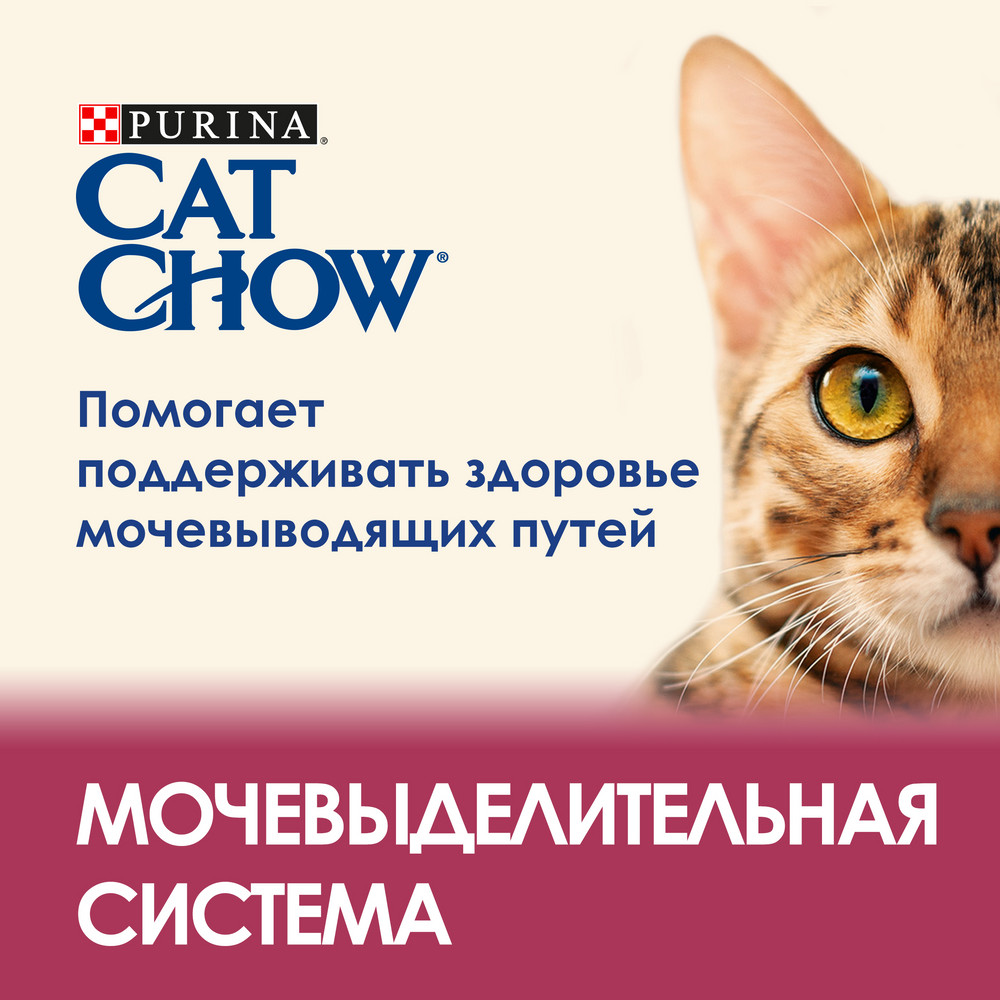 Cat Chow Urinary Tract Health Домашняя птица для кошек 2