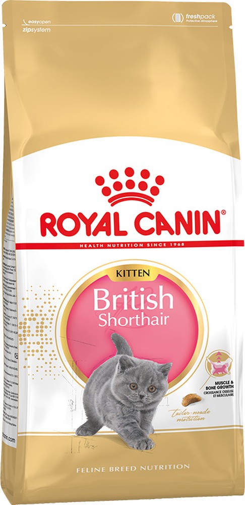 Royal Canin British Shorthair Kitten для котят