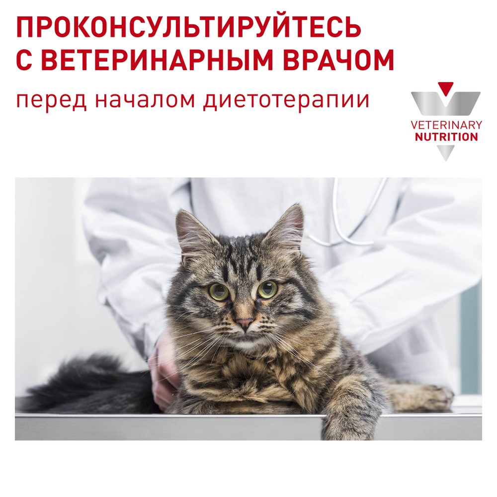 Royal Canin Gastrointestinal Fibre Response для кошек 3