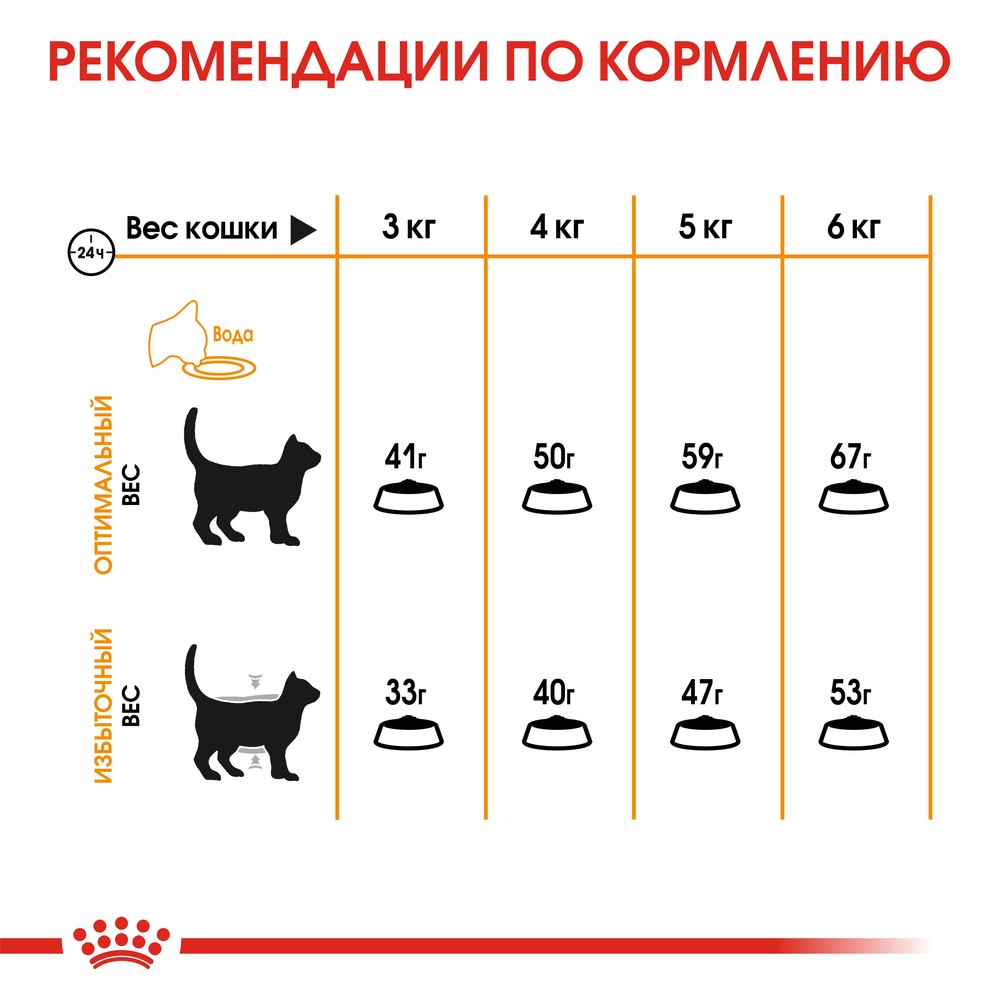 Royal Canin Hair & Skin Care для кошек 5