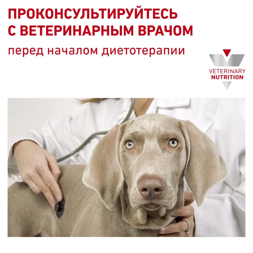 Royal Canin Hypoallergenic Small Dog under 10 kg для собак 5