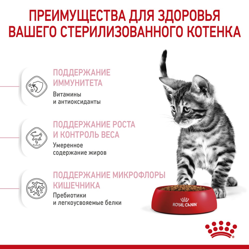 Royal Canin Kitten Sterilised для котят 3