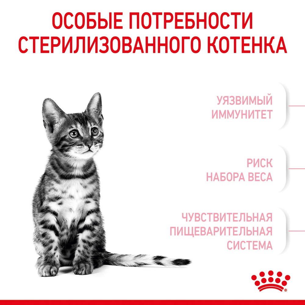 Royal Canin Kitten Sterilised для котят 4