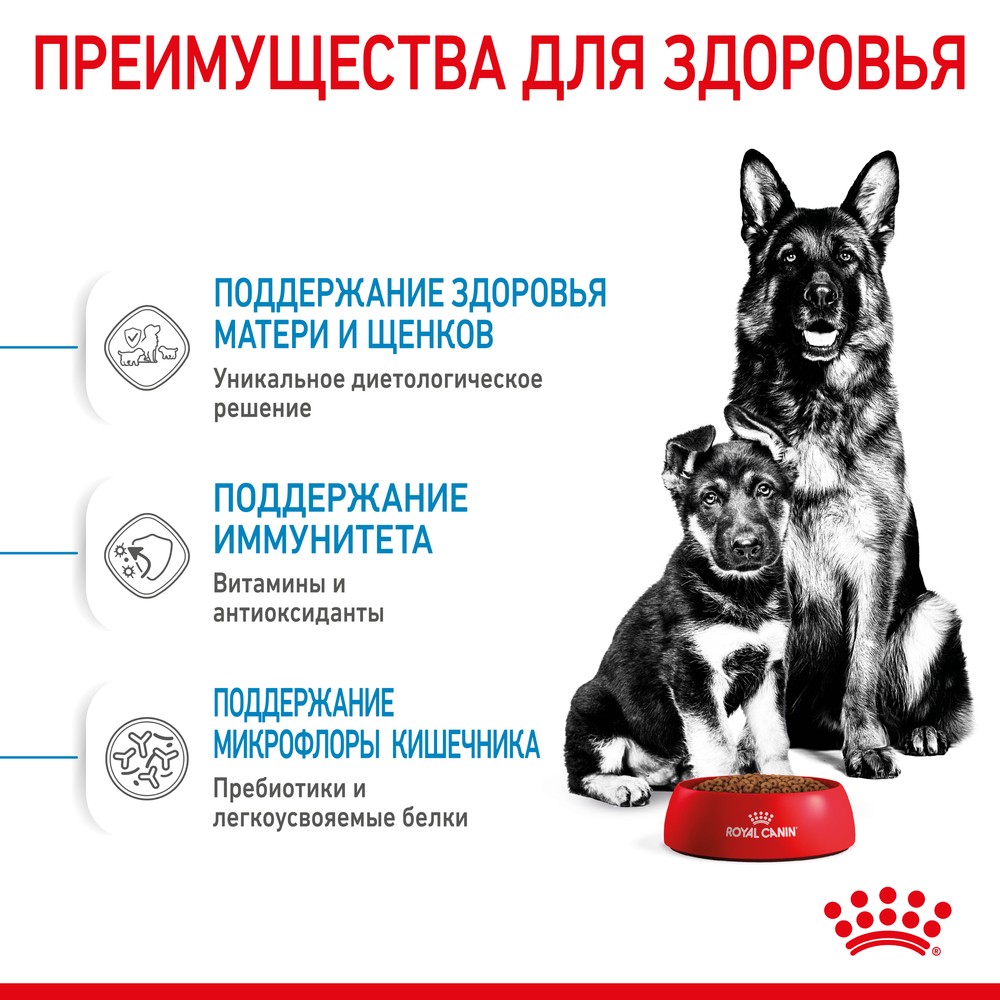 Royal Canin Maxi Starter Mother & Babydog для щенков 3
