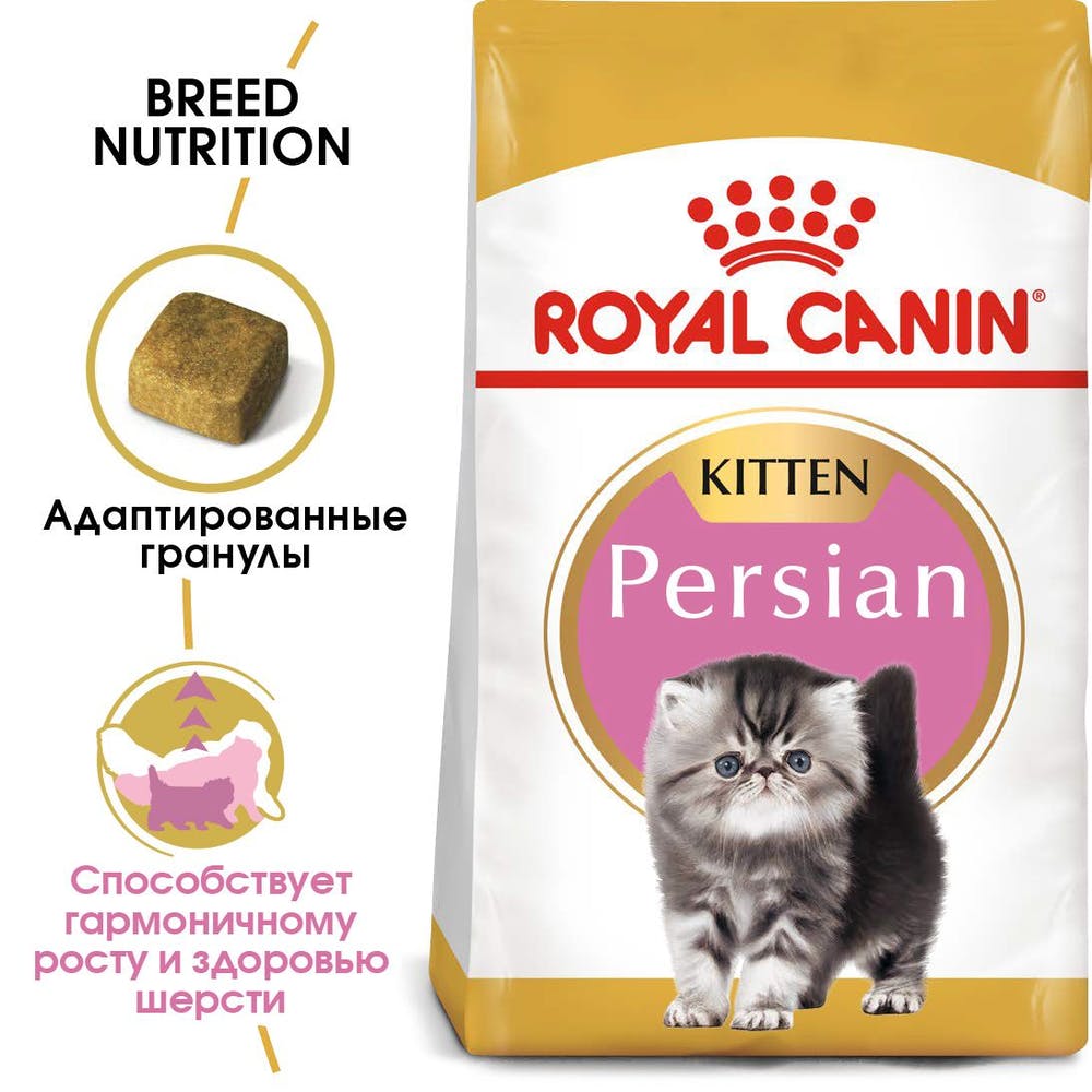 Royal Canin Persian Kitten для котят 2