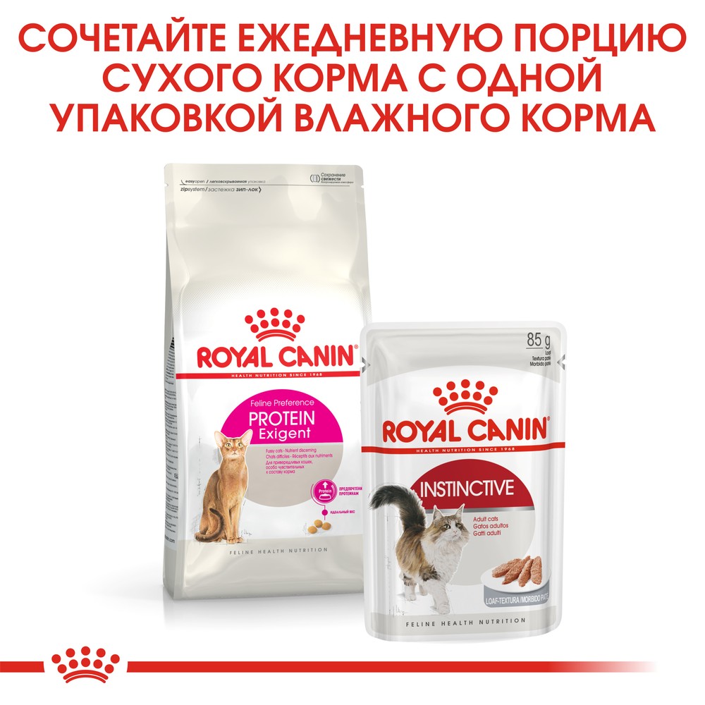Royal Canin Protein Exigent для кошек 4