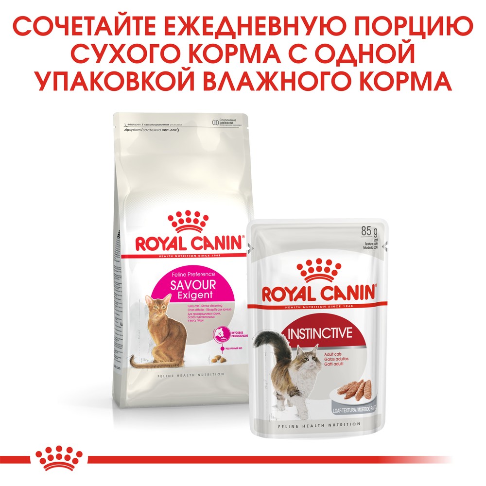 Royal Canin Savour Exigent для кошек 4