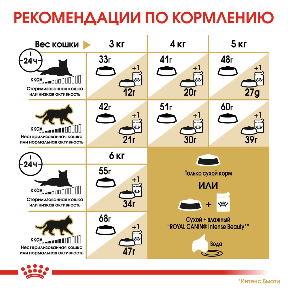 Royal Canin Siamese Adult для кошек 5
