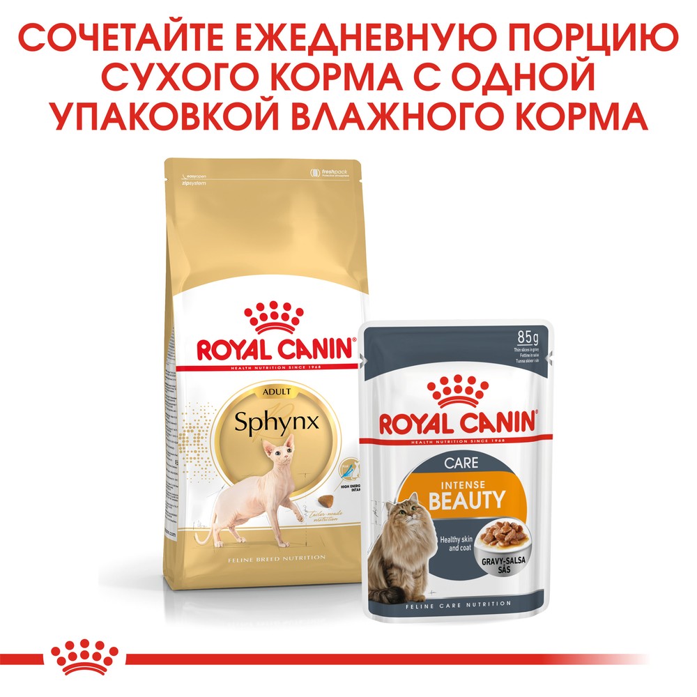 Royal Canin Sphynx Adult для кошек 4
