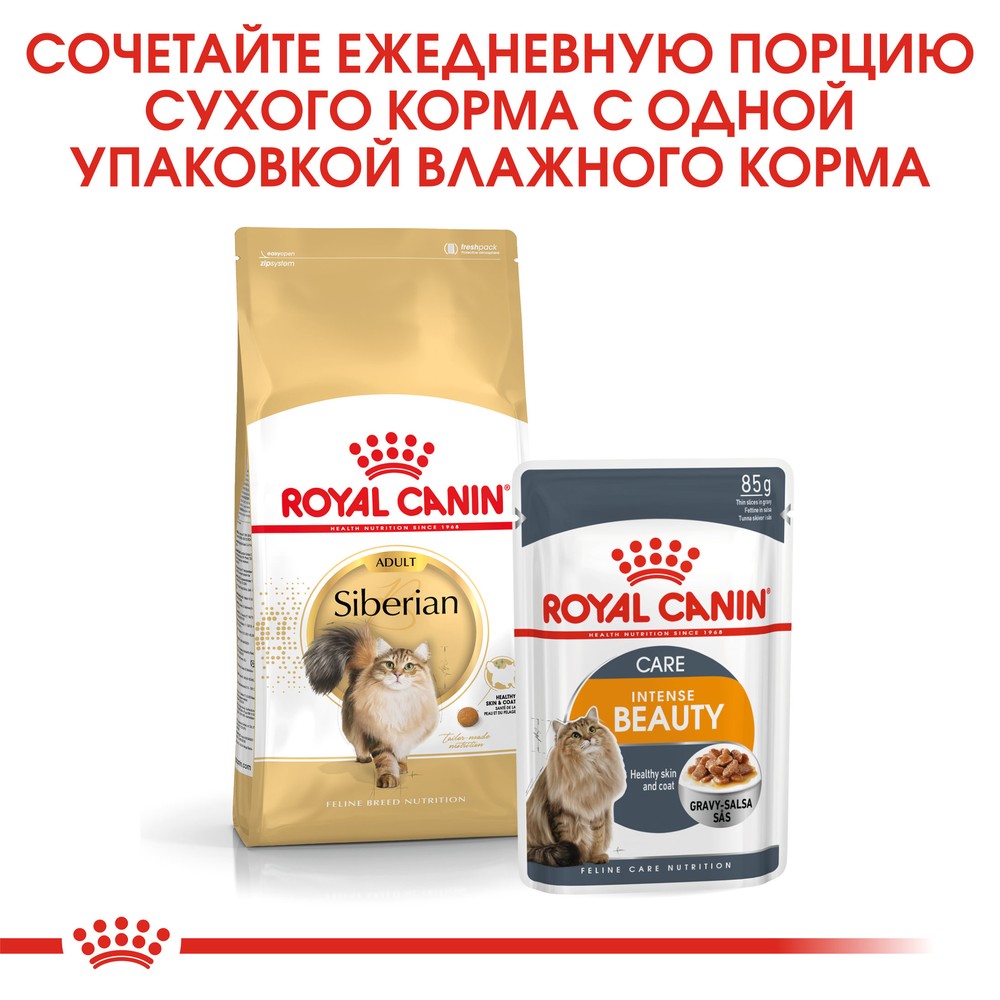 Royal Canin Siberian Adult для кошек 4