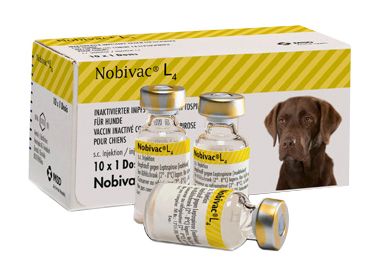 Нобивак Lepto вакцина для собак 1