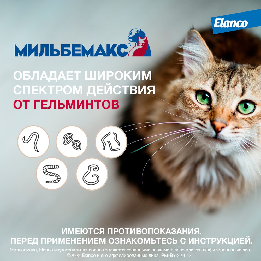Мильбемакс табл антигельминтик для кошек и котят 2 шт 3