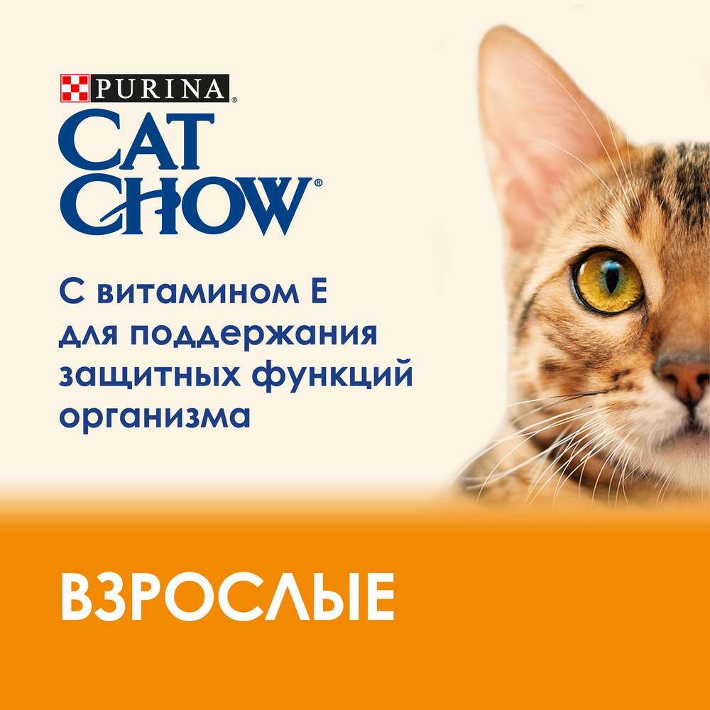 Cat Chow Курица/Кабачки в желе пауч для кошек 85 г 2