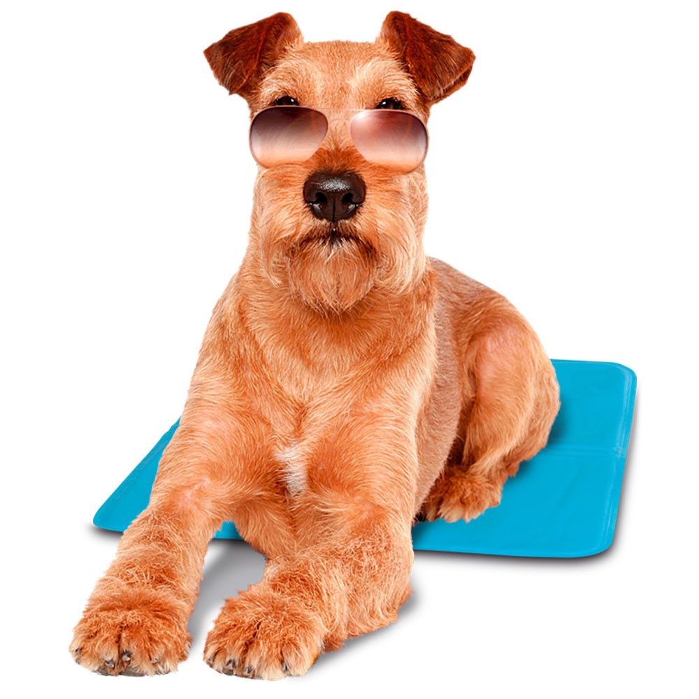 Лежанка коврик охлаждающий PET COOL MAT M для собак 2