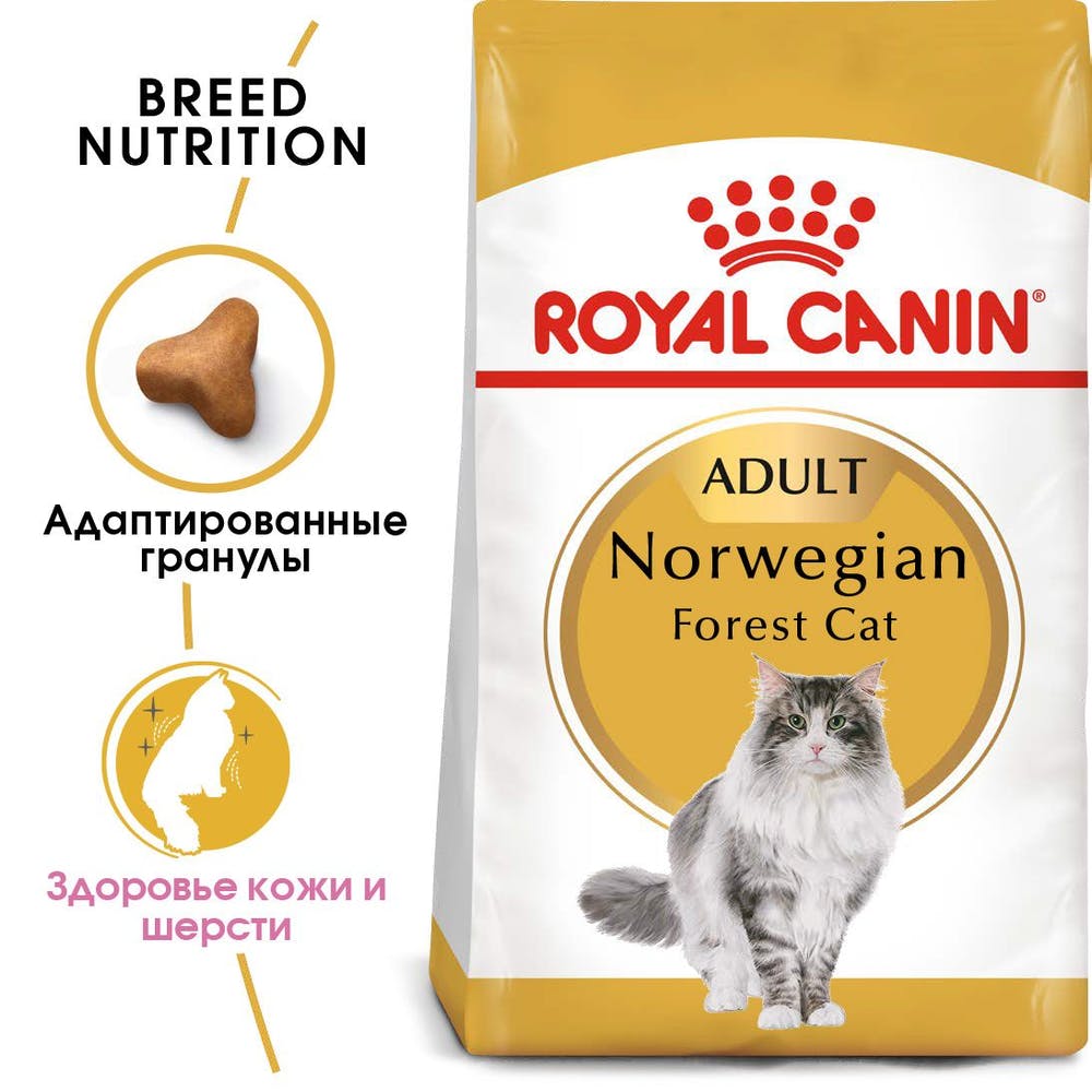 Royal Canin Norwegian Forest Adult для кошек 2