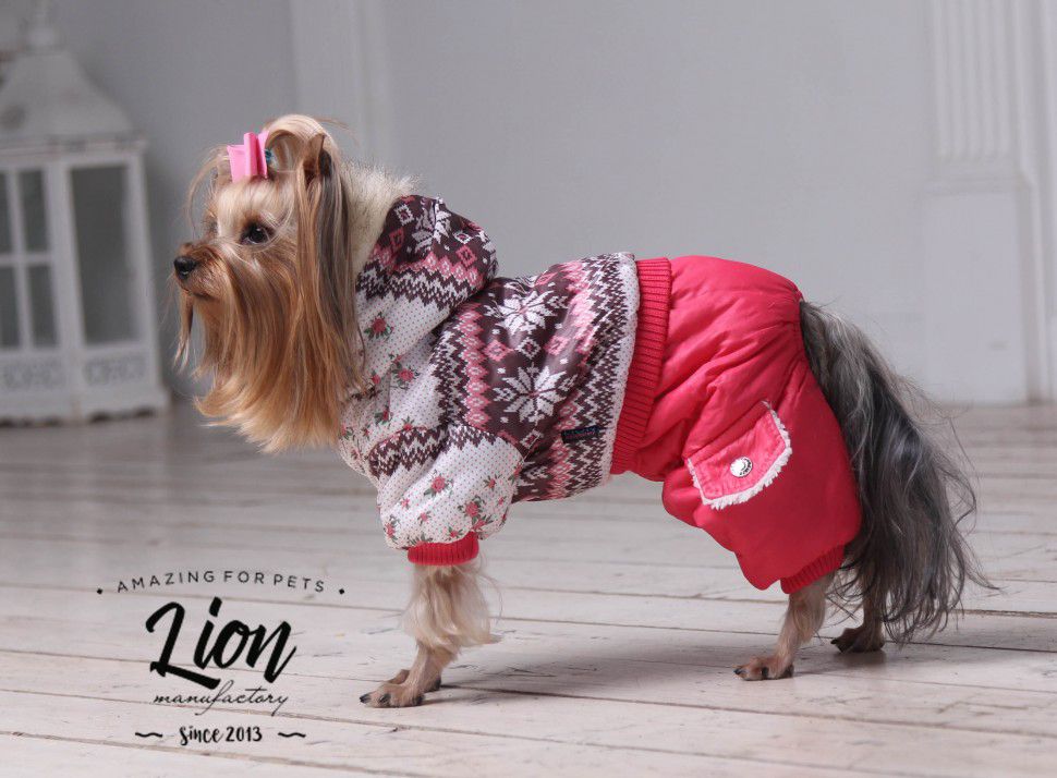 Зимний комбинезон Lion на девочку LP022 для собак 4