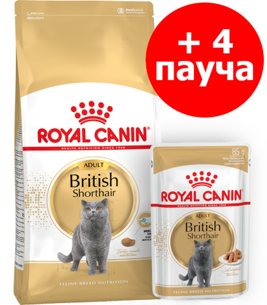 Royal Canin British Shorthair Adult для кошек 2 кг + 4 пауча 1