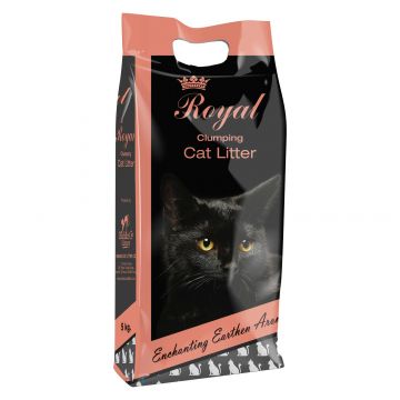 Наполнитель Indian Cat Litter Royal Earthern Aroma Комкующийся 1