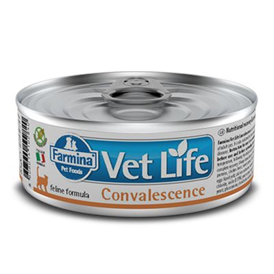 Farmina Vet Life Convalescence консервы для кошек 85 г 1