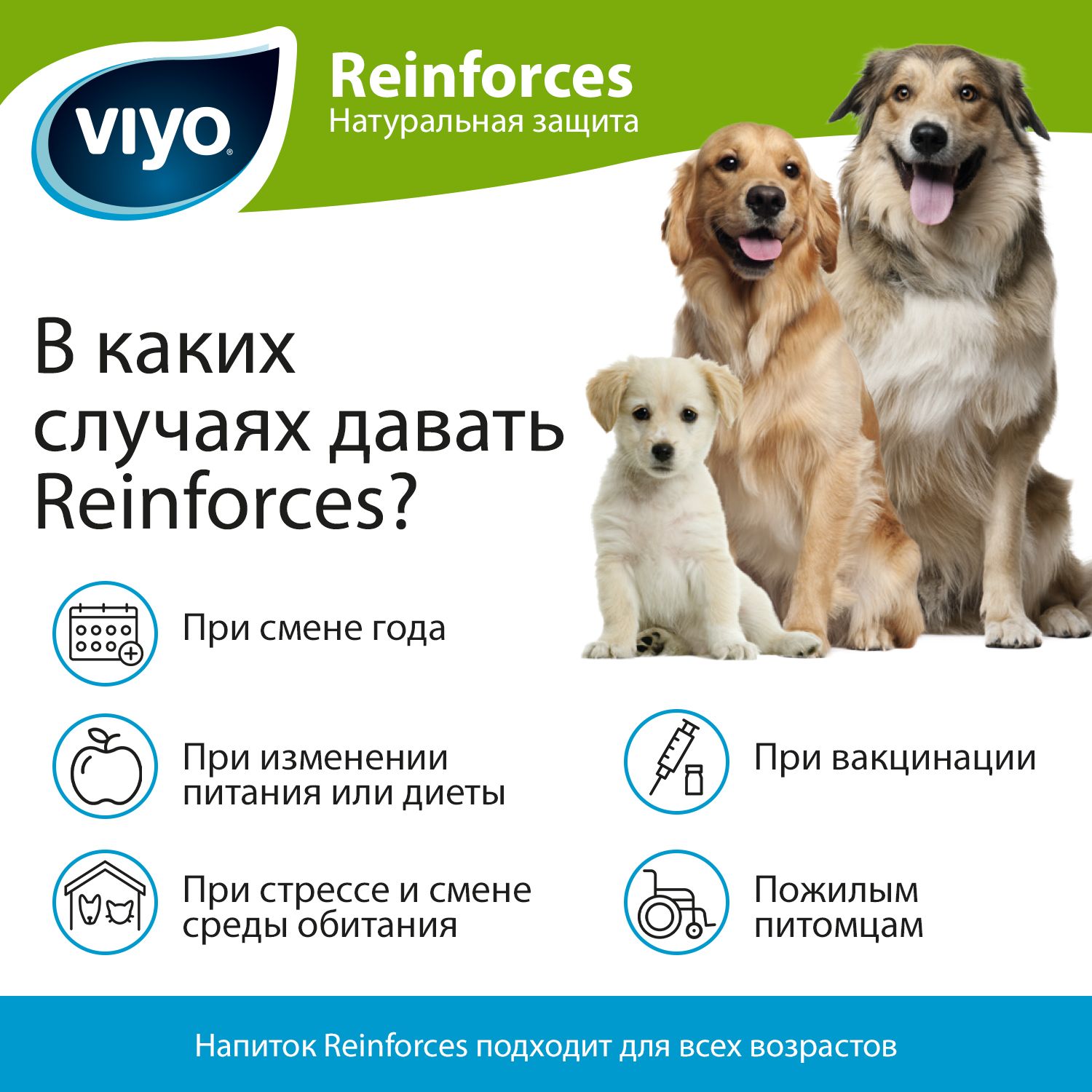VIYO Напиток-пребиотик для собак всех возрастов 7*30 мл (цена за 1 шт) 2