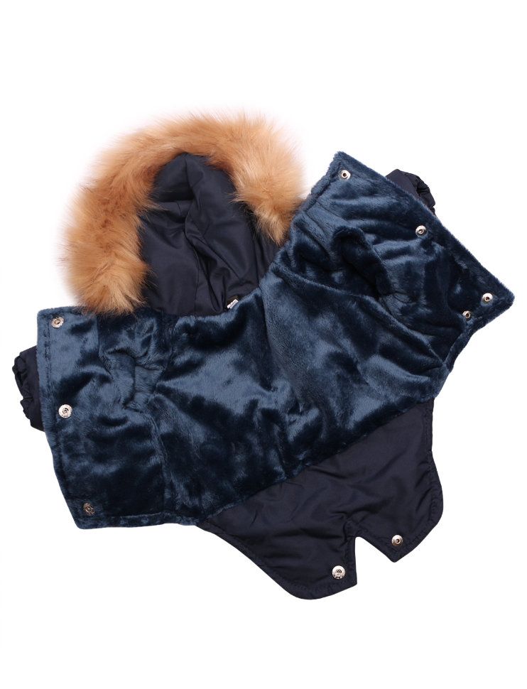 Зимняя куртка Lion Winter LP065 для собак 3