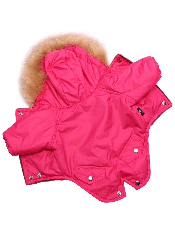 Зимняя куртка Lion Winter LP062 для собак 1