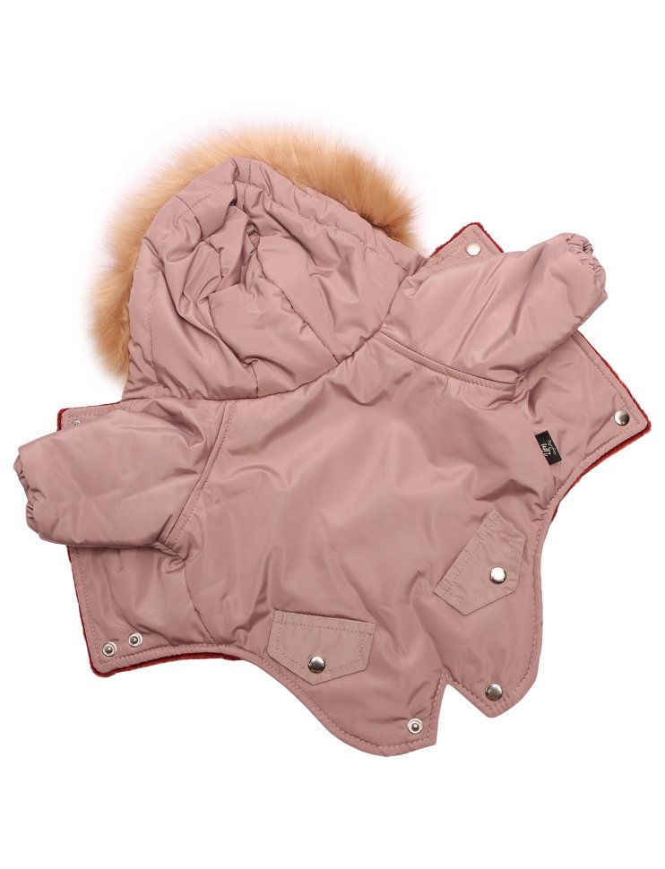 Зимняя куртка Lion Winter LP063 для собак 1