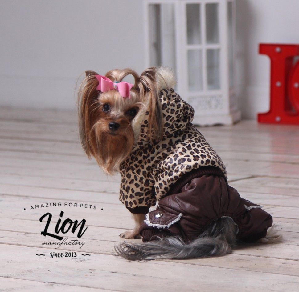 Зимний комбинезон Lion LP023 унисекс для собак 4