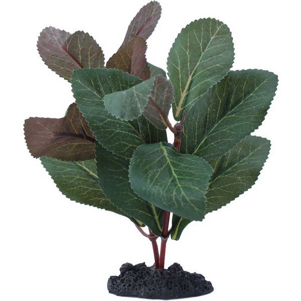 Растение шелковое Prime Гигрофила 30 см 1