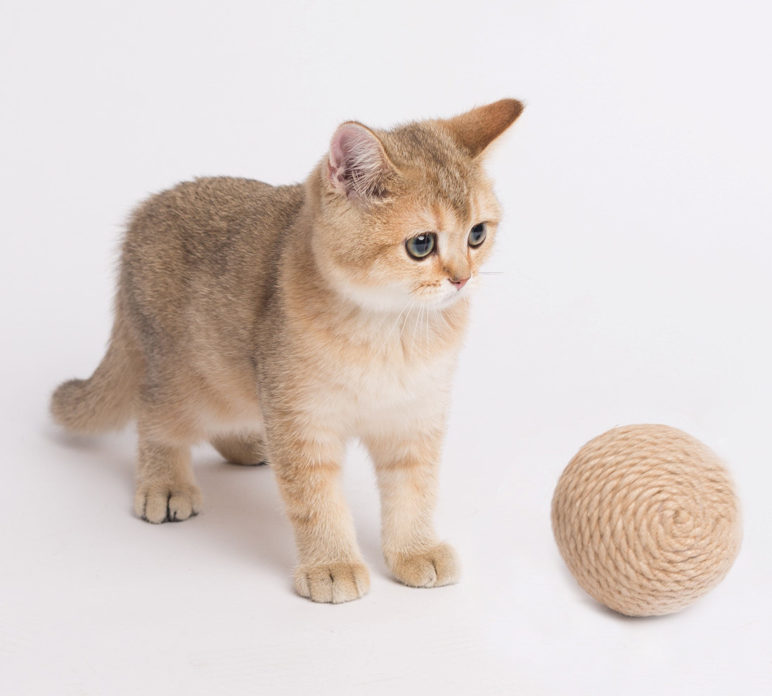 Игрушка Petsiki динамическая клубок малый песочный для кошек 2