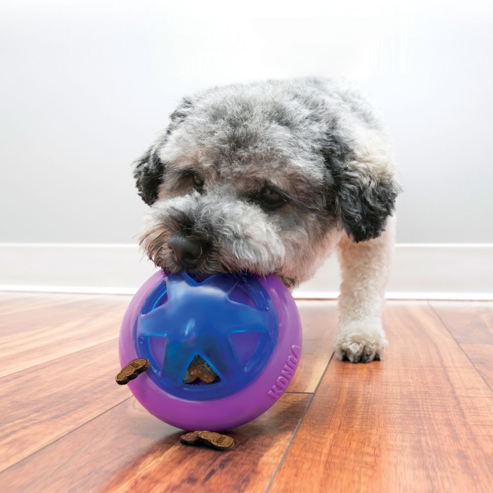 Игрушка KONG Hopz мяч для лакомств с пищалкой для собак 3