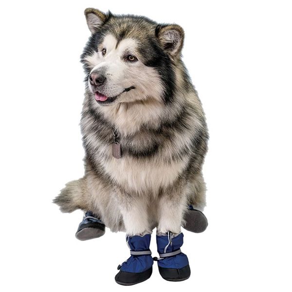 Ботинки Чип утепленные синие для собак 2 шт 2