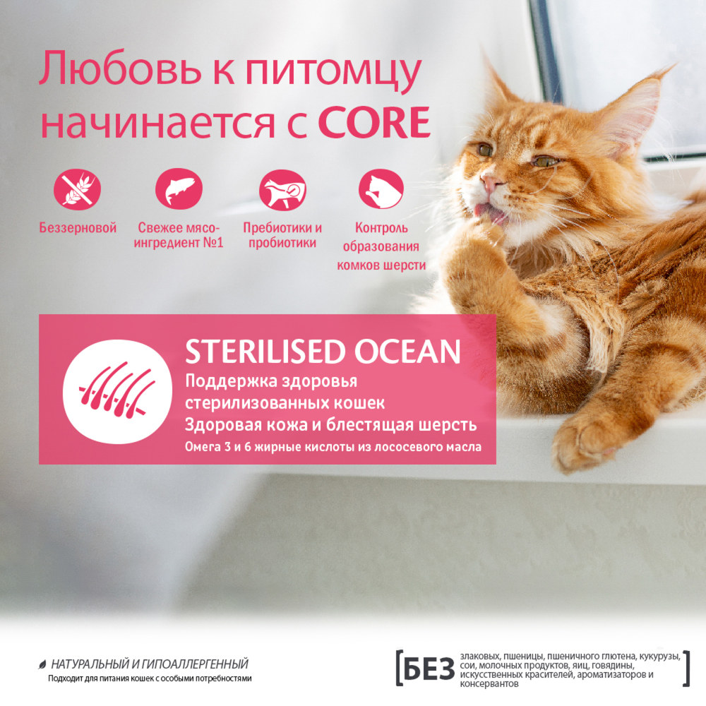 Wellness Core Sterilised Лосось для кошек 6