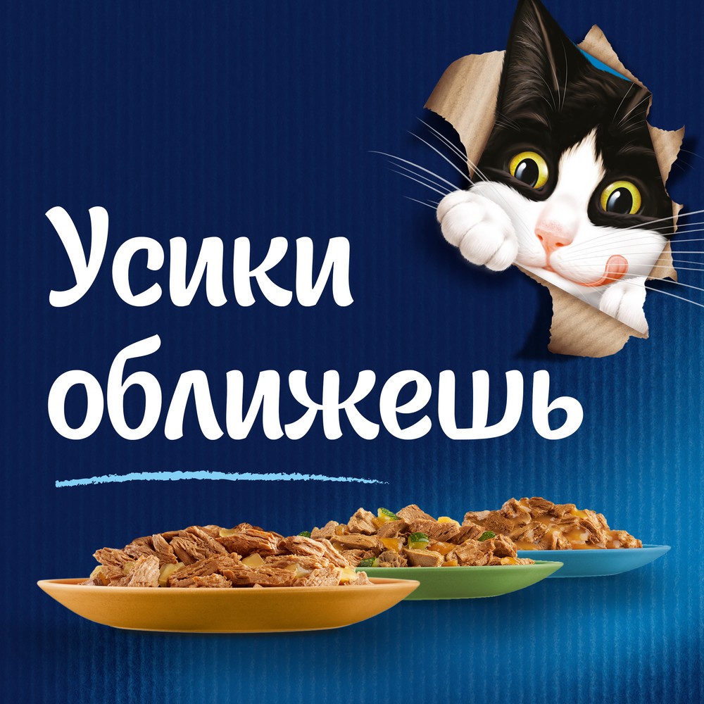 Felix Sensation Говядина/Сыр пауч для кошек 75 г 4