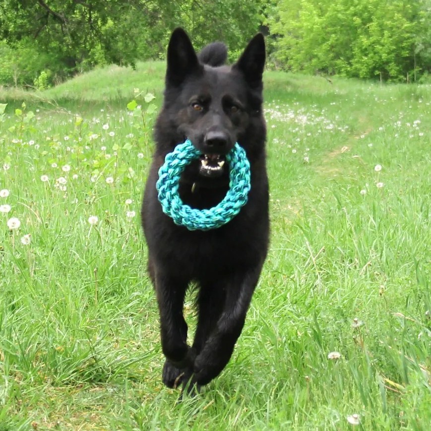 Игрушка Nunbell кольцо плетеное 18,5х4,5 см в ассортименте для собак 3