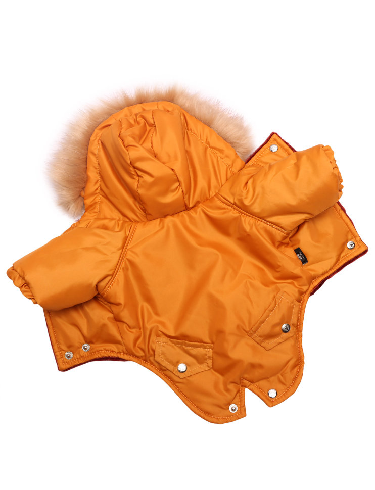 Зимняя куртка Lion Winter парка LP068 для собак 1