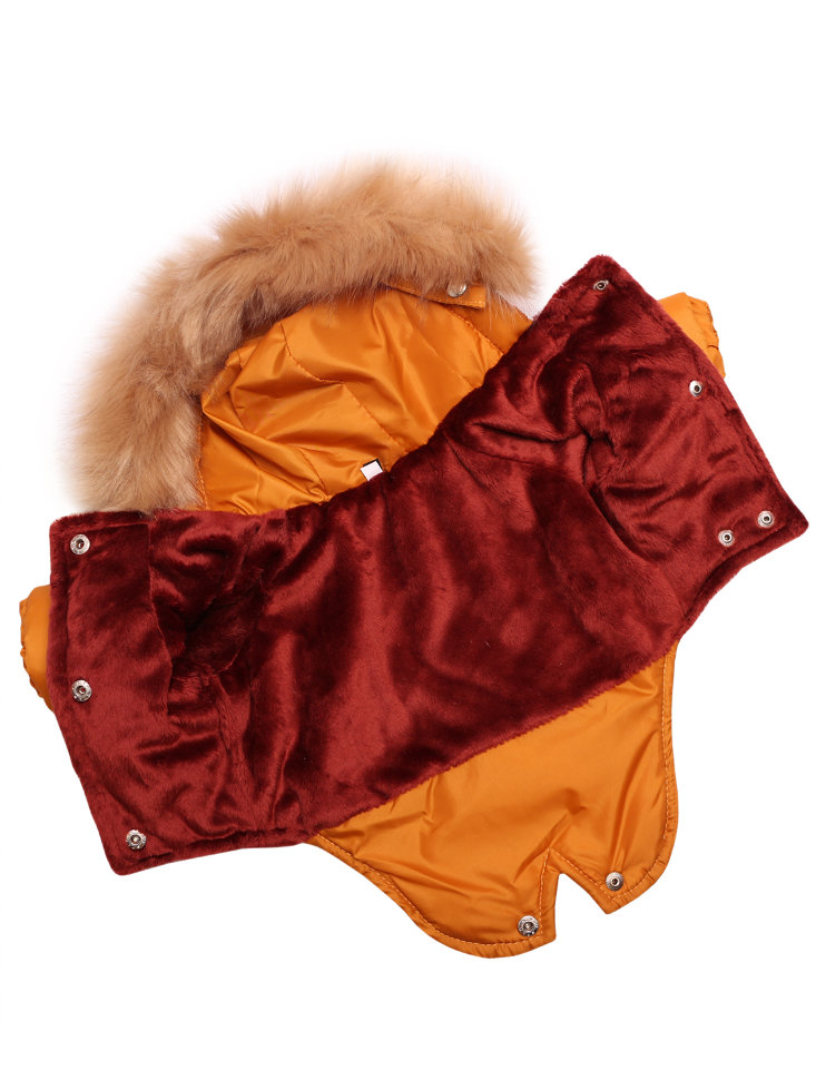 Зимняя куртка Lion Winter парка LP068 для собак 2