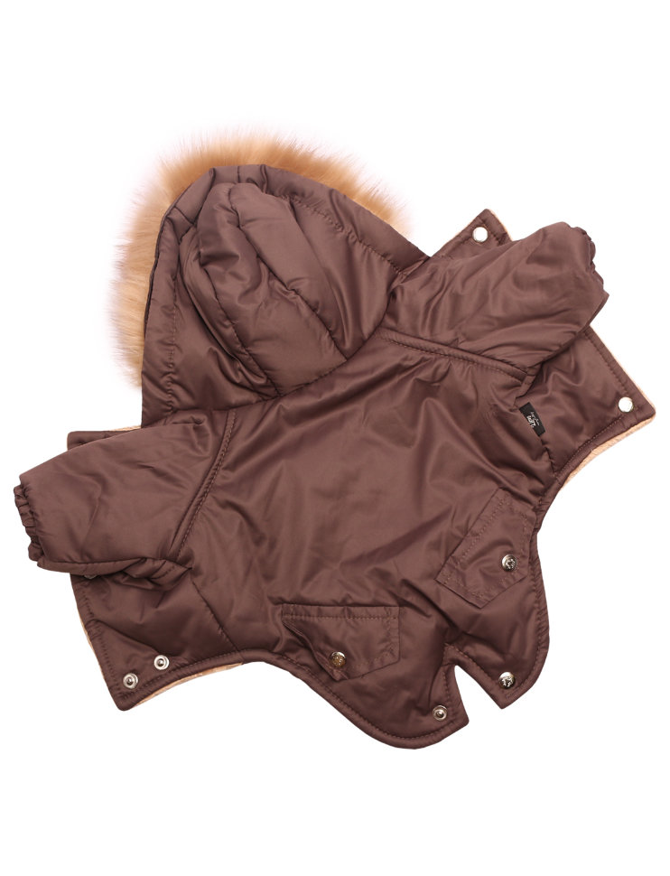Зимняя куртка Lion Winter парка LP066 для собак 1