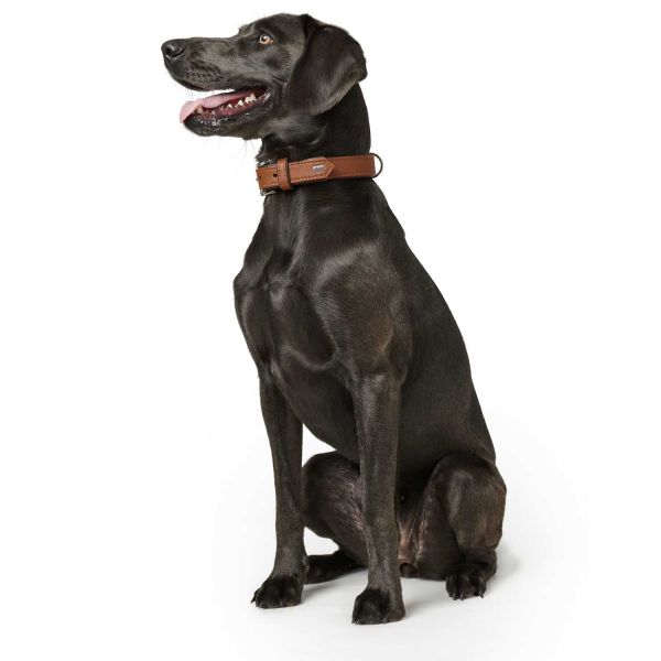 Ошейник Hunter Canadian кожа лося коньячно/черный 50 (37-43 см) для собак 3