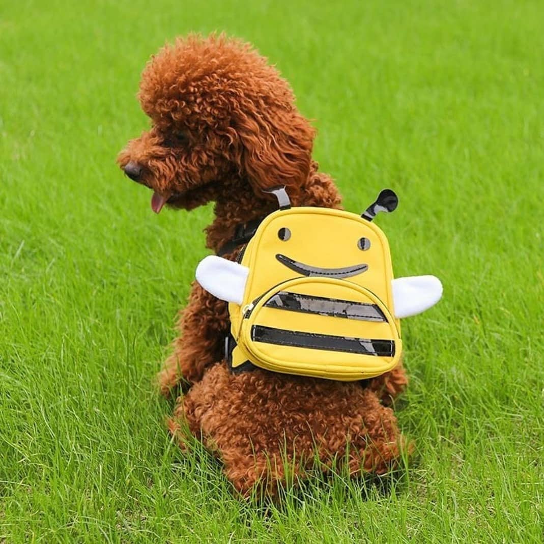 Рюкзак-шлейка MINI DOGS  "Пчелка" S для собак 140*120*75мм, обхват груди 400-500мм  3