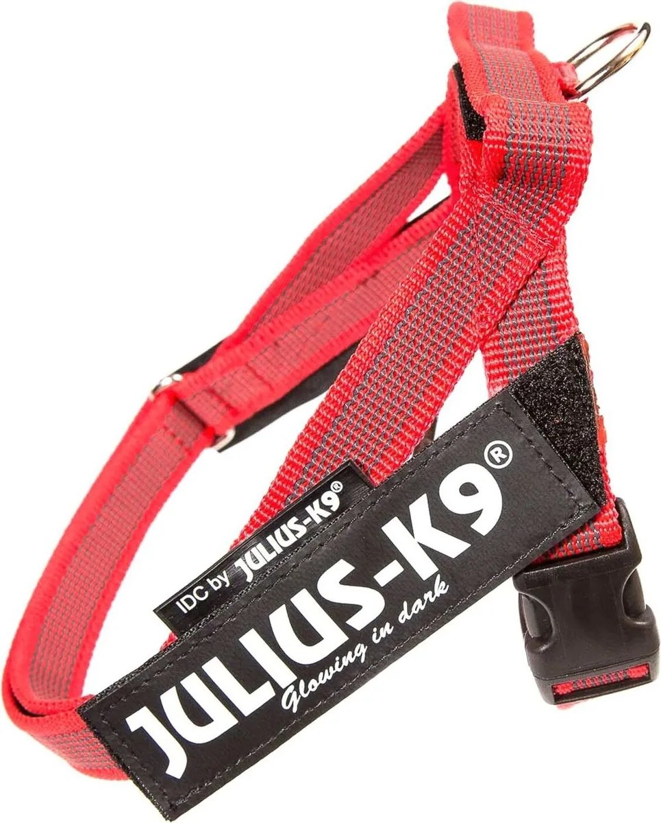 Шлейка JULIUS-K9 Color & Gray для собак Mini (40-49см / 4-7кг) 1