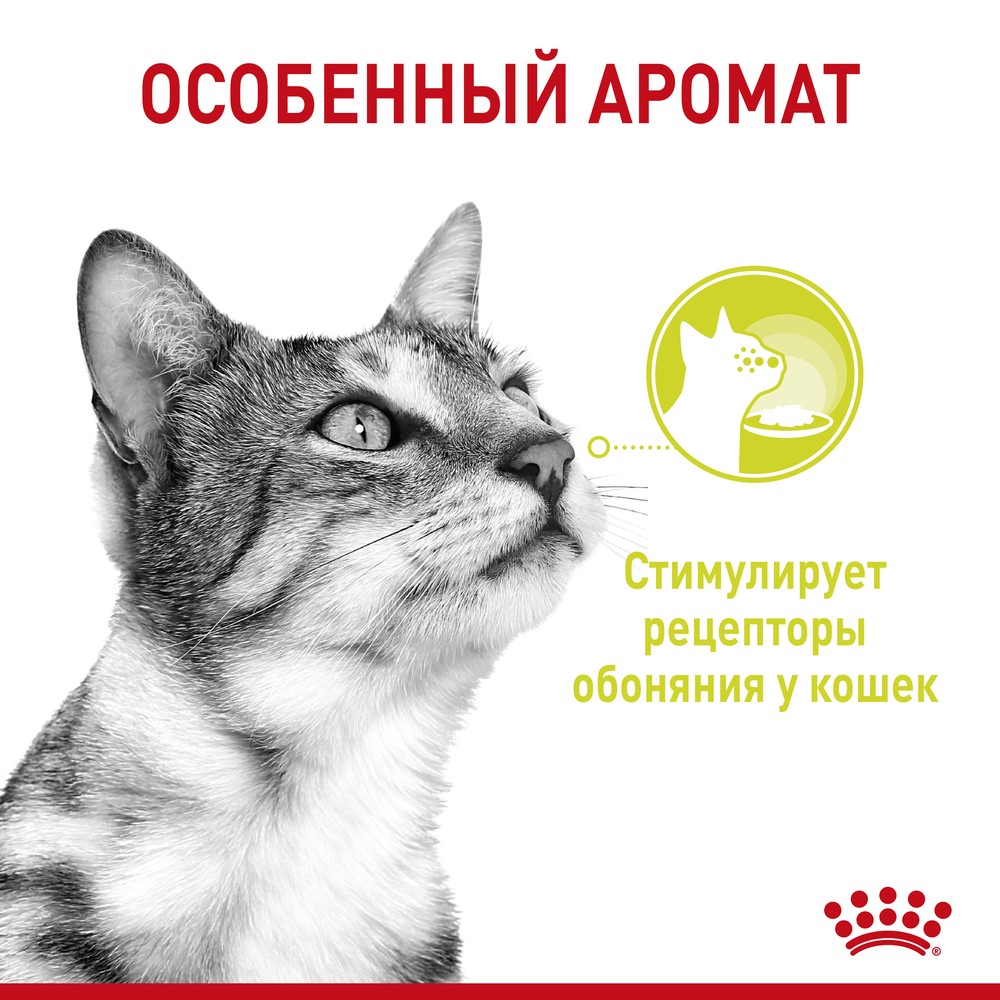 Royal Canin Sensory Запах в соусе пауч для кошек 85 г 3